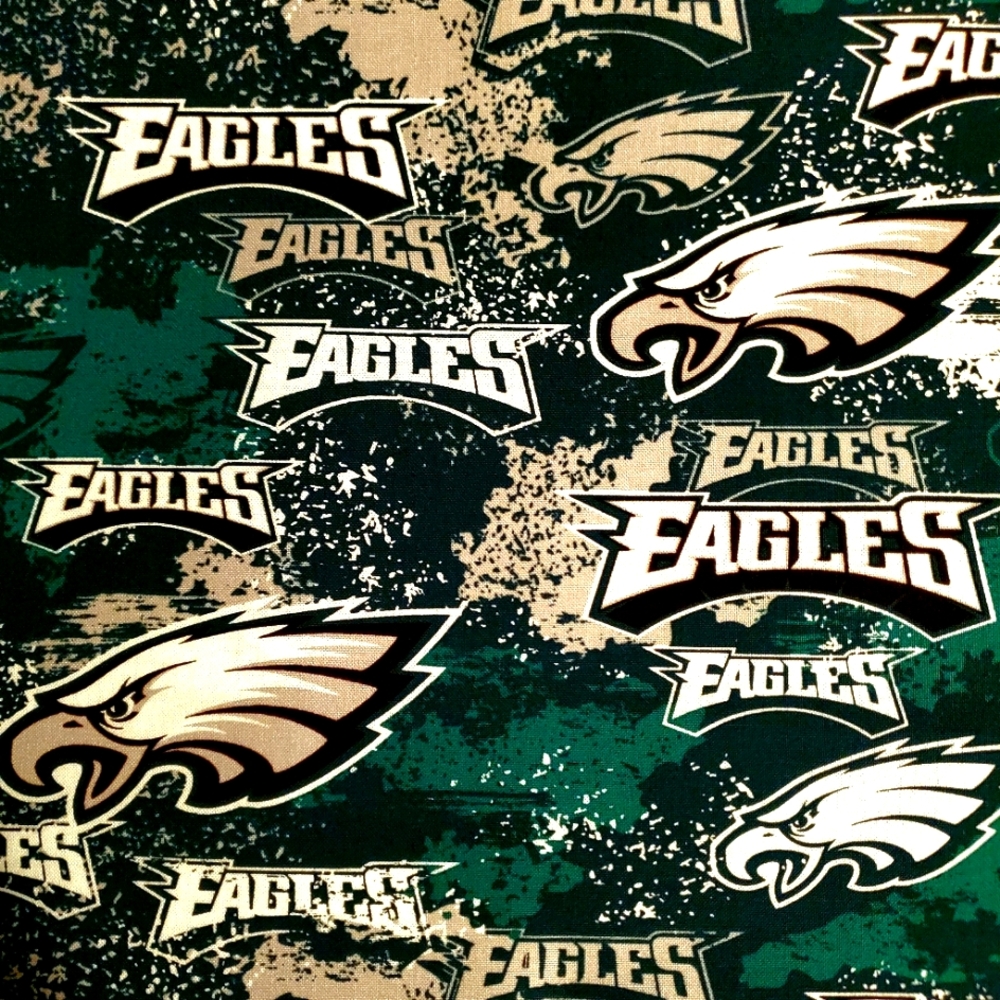 13" X 13" Philadelphia Eagles Pillow